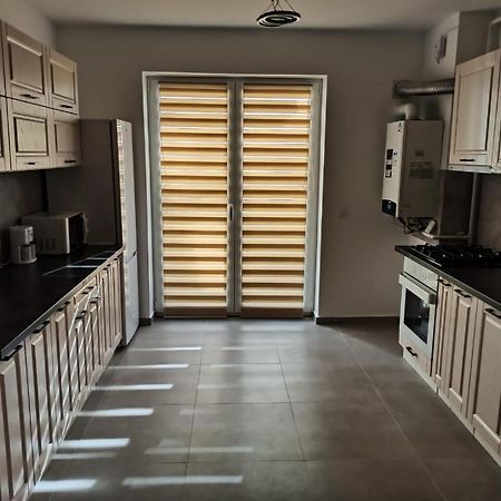 Andi Coresi Brasov Ngoại thất bức ảnh